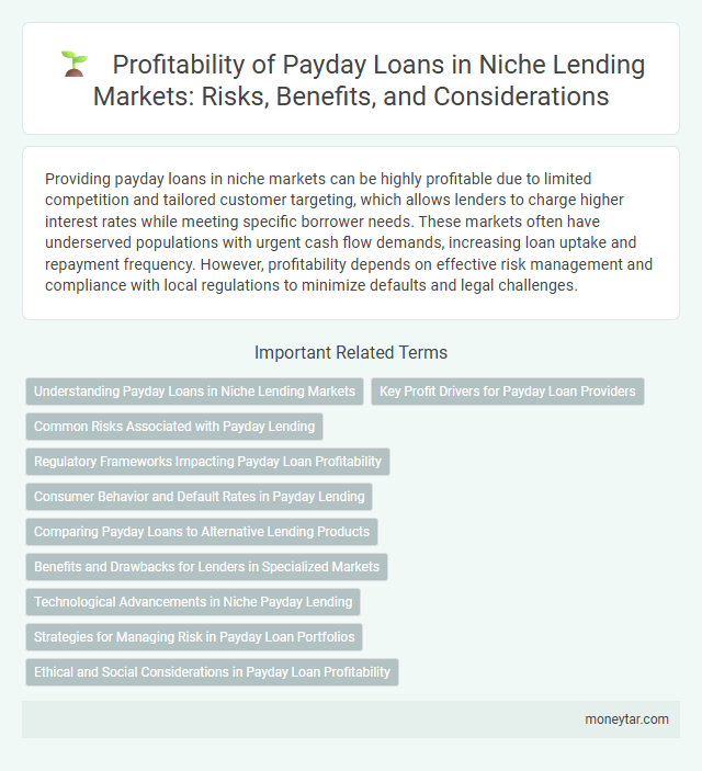 Profitability of Payday Loans in Niche Lending Markets: Risks, Benefits, and Considerations
