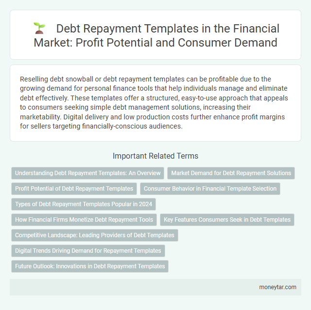 Debt Repayment Templates in the Financial Market: Profit Potential and Consumer Demand
