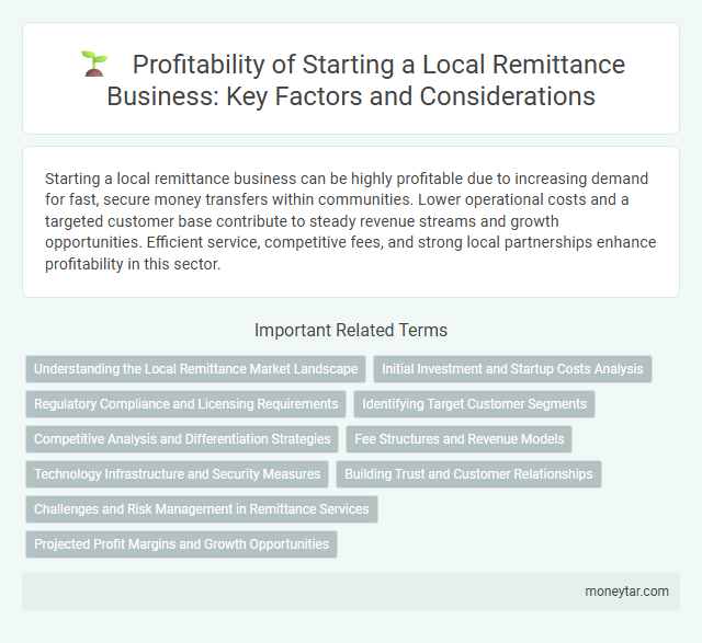 Profitability of Starting a Local Remittance Business: Key Factors and Considerations