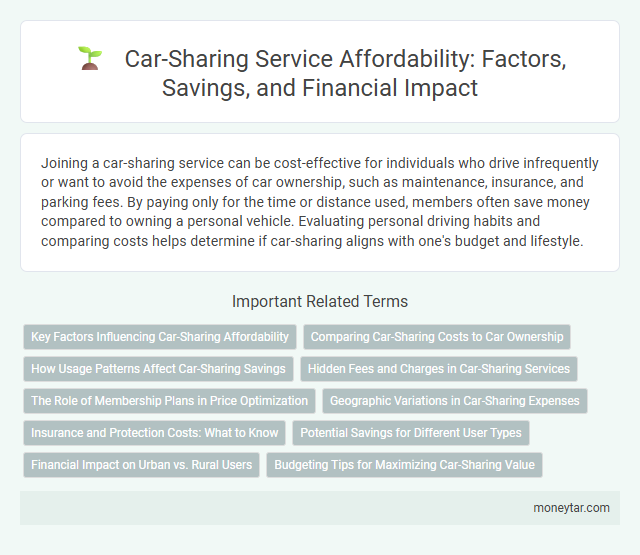 Car-Sharing Service Affordability: Factors, Savings, and Financial Impact