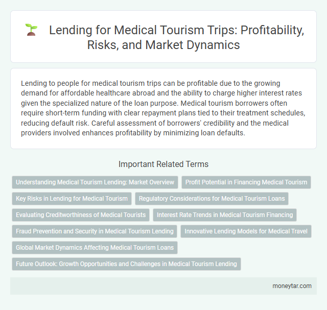 Lending for Medical Tourism Trips: Profitability, Risks, and Market Dynamics