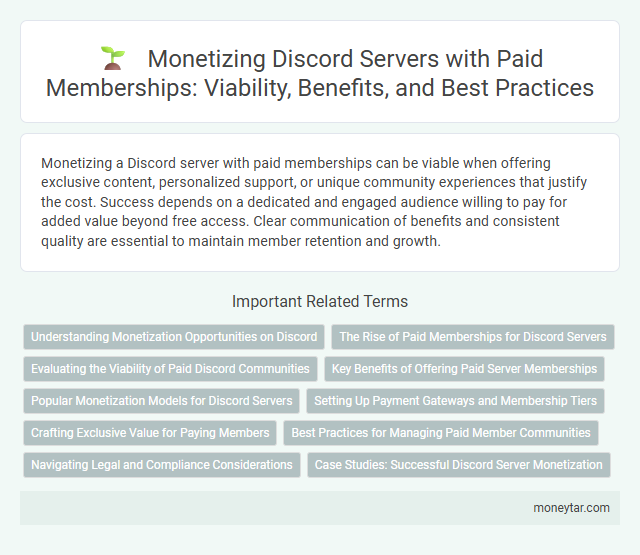 Monetizing Discord Servers with Paid Memberships: Viability, Benefits, and Best Practices