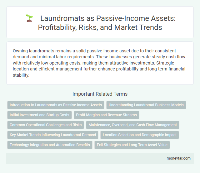 Laundromats as Passive-Income Assets: Profitability, Risks, and Market Trends