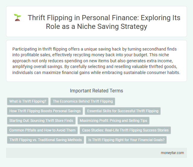 Thrift Flipping in Personal Finance: Exploring Its Role as a Niche Saving Strategy