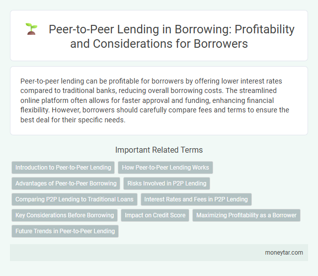 Peer-to-Peer Lending in Borrowing: Profitability and Considerations for Borrowers