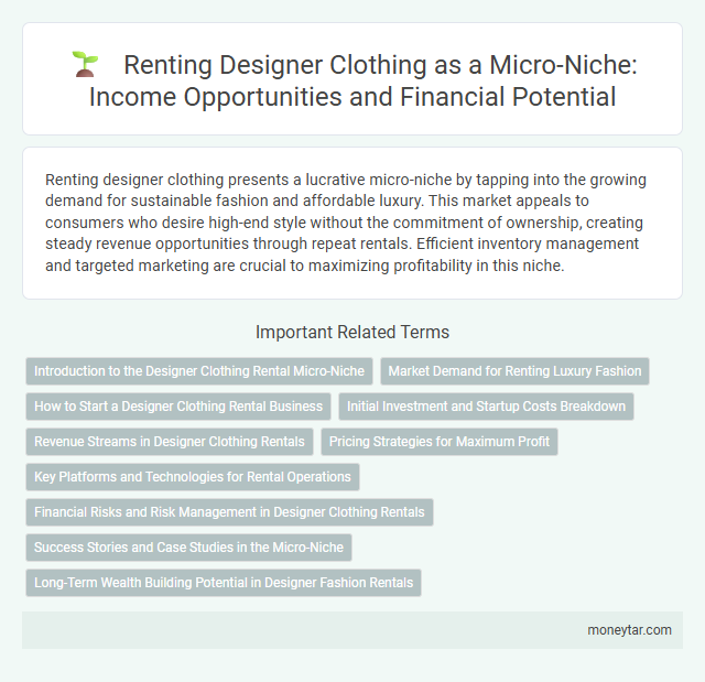 Renting Designer Clothing as a Micro-Niche: Income Opportunities and Financial Potential