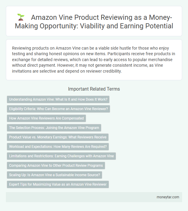 Amazon Vine Product Reviewing as a Money-Making Opportunity: Viability and Earning Potential