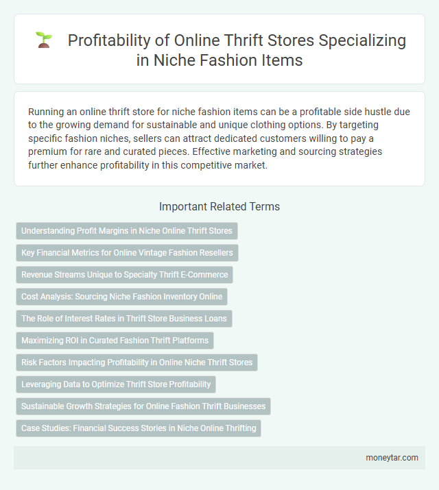 Profitability of Online Thrift Stores Specializing in Niche Fashion Items