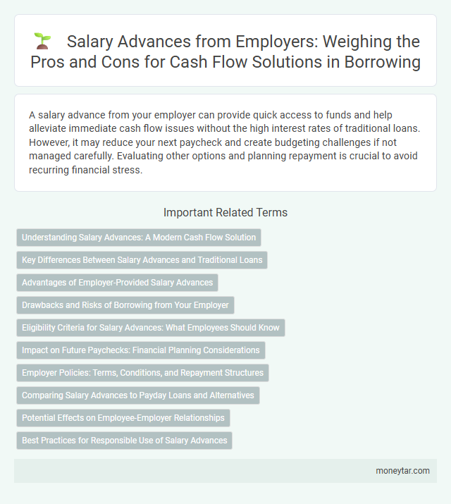 Salary Advances from Employers: Weighing the Pros and Cons for Cash Flow Solutions in Borrowing