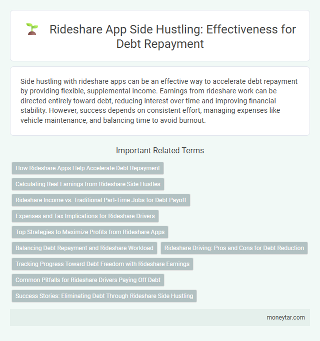 Rideshare App Side Hustling: Effectiveness for Debt Repayment