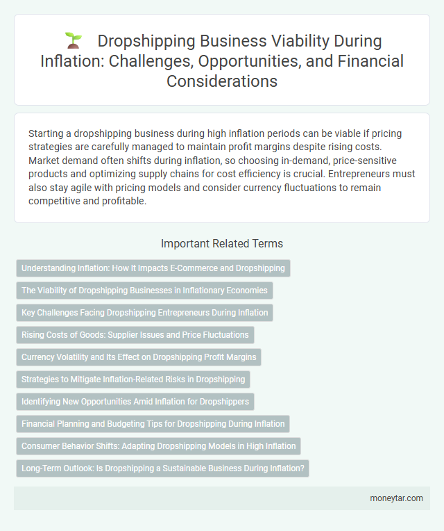 Dropshipping Business Viability During Inflation: Challenges, Opportunities, and Financial Considerations