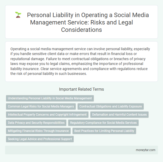 Personal Liability in Operating a Social Media Management Service: Risks and Legal Considerations