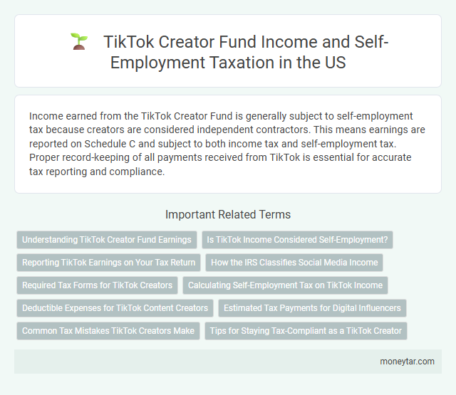 TikTok Creator Fund Income and Self-Employment Taxation in the US