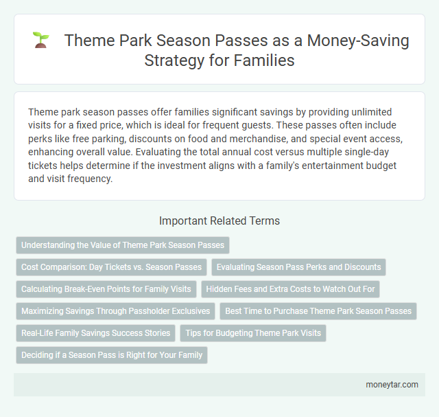 Theme Park Season Passes as a Money-Saving Strategy for Families