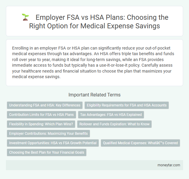 Employer FSA vs HSA Plans: Choosing the Right Option for Medical Expense Savings