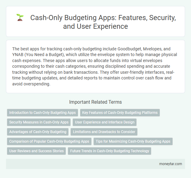 Cash-Only Budgeting Apps: Features, Security, and User Experience