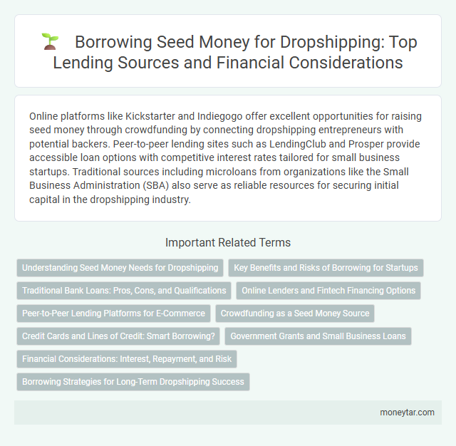 Borrowing Seed Money for Dropshipping: Top Lending Sources and Financial Considerations