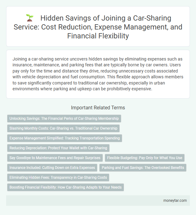 Hidden Savings of Joining a Car-Sharing Service: Cost Reduction, Expense Management, and Financial Flexibility