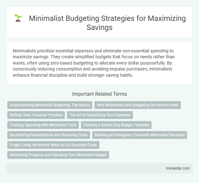 Minimalist Budgeting Strategies for Maximizing Savings