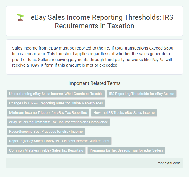 eBay Sales Income Reporting Thresholds: IRS Requirements in Taxation