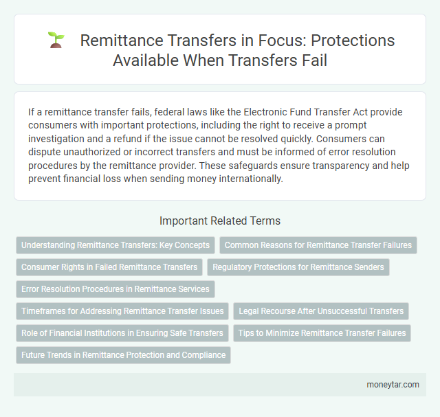 Remittance Transfers in Focus: Protections Available When Transfers Fail
