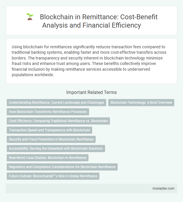 Blockchain in Remittance: Cost-Benefit Analysis and Financial Efficiency