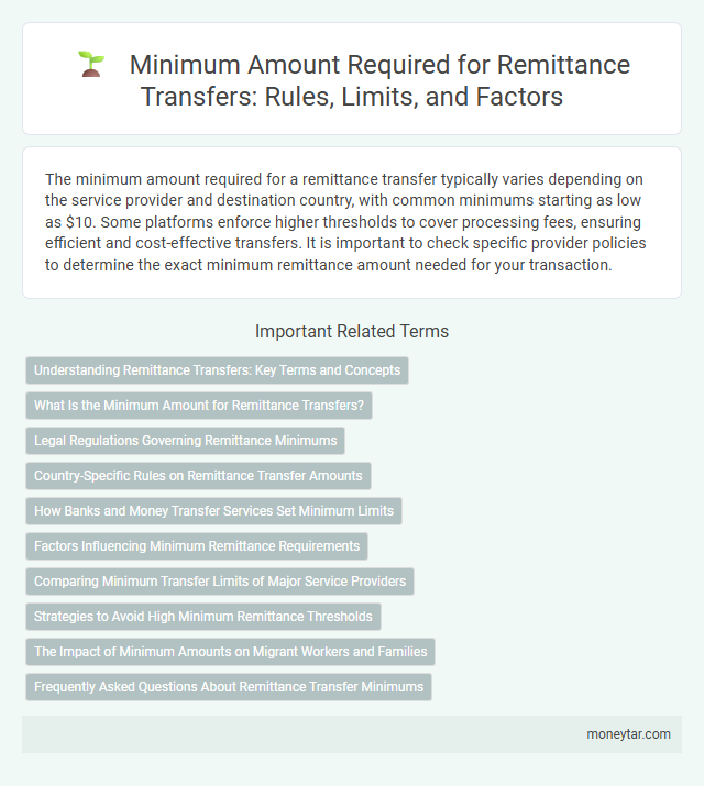 Minimum Amount Required for Remittance Transfers: Rules, Limits, and Factors