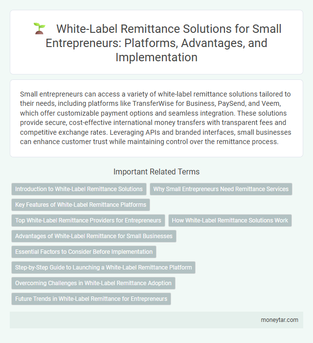 White-Label Remittance Solutions for Small Entrepreneurs: Platforms, Advantages, and Implementation