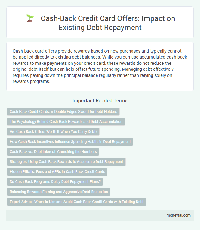 Cash-Back Credit Card Offers: Impact on Existing Debt Repayment