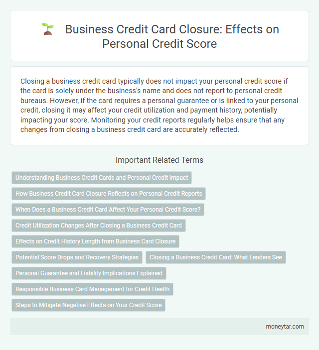 Business Credit Card Closure: Effects on Personal Credit Score