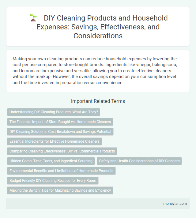 DIY Cleaning Products and Household Expenses: Savings, Effectiveness, and Considerations